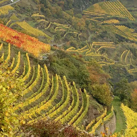 Gutsschaenke Sennerhof בית הארחה 3*