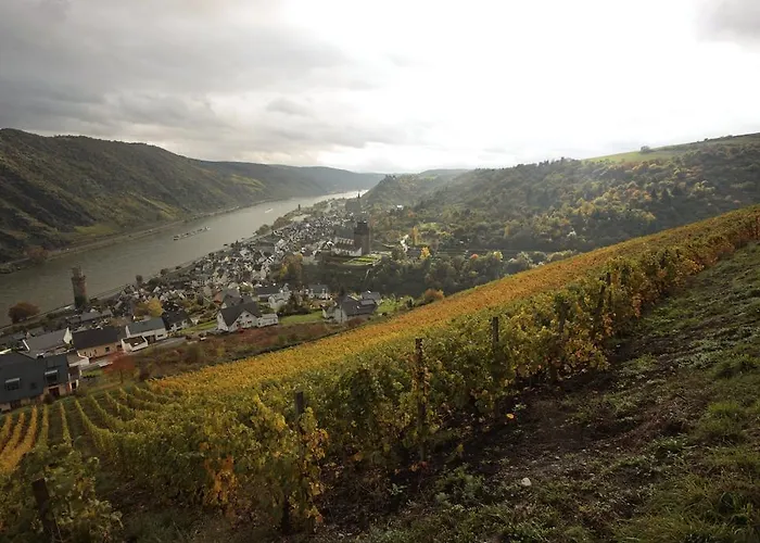 Pensión Gutsschaenke Sennerhof 3*