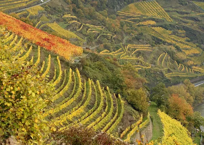 Gutsschaenke Sennerhof Pensión 3*