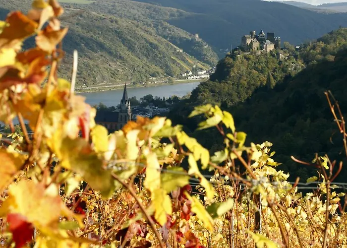 Gutsschaenke Sennerhof Oberwesel